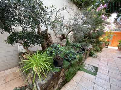 Giulia ci conduce infatti in una rigogliosa oasi arricchita da panchine, alberi da frutto, bonsai...